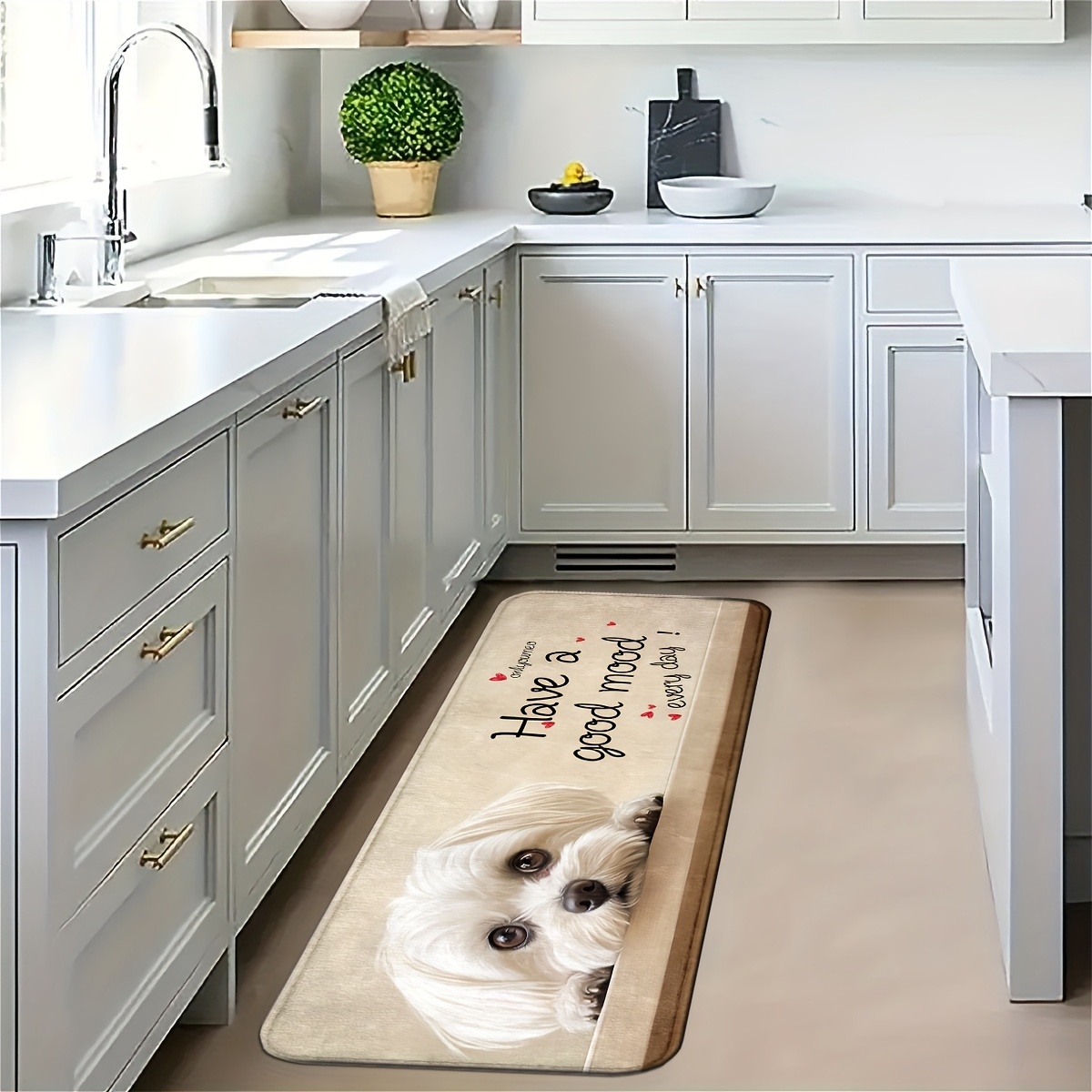 Commercial Kitchen Quotes - Schattige witte puppy lange keukenloper, mooie